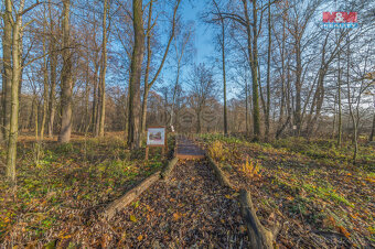 Prodej zemědělské usedlosti, 1128 m², Petrovice u Karviné - 11