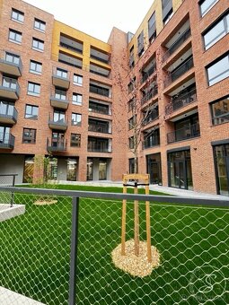 Pronájem bytu 2+kk • 53 m² - 11