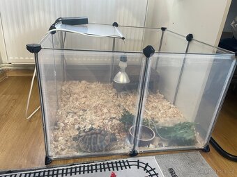 Želva zelenavá (kluk) + box + lampa + miska - 11