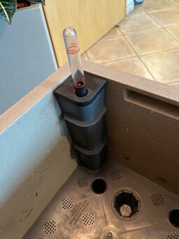 Dva vzrostlé krotony v samozavlažovacích květináčích Lechuza - 11