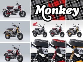Honda Monkey Limited - 11