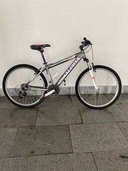Prodám kvalitní  kolo Alpina Eco - 11