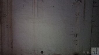 Chata k přestavbě - 11