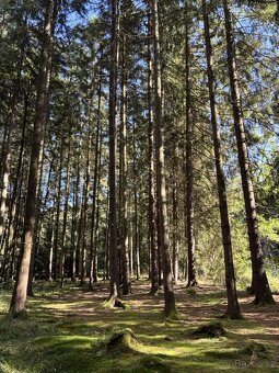 Prodej, pozemek, 3 476 m, náměstí Dr. Tošovského 61, Proseč, - 11