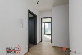 Pronájem, byty/4+kk, 119 m2, U Borského parku 3060/18, Jižní - 11