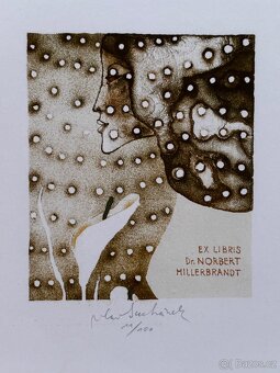 Vladimir Suchanek - exl - 11