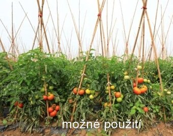 Bambus - bambusové tyčky - 11
