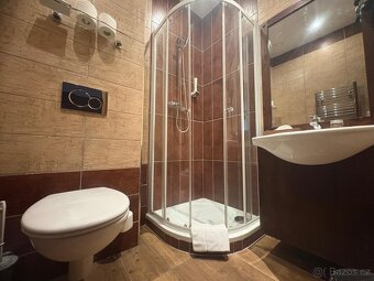 Pronájem bytu 2kk, vybavený, Plzeň - Roudná - 11