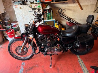 HARLEY XL1200C SPORTSTER - 11