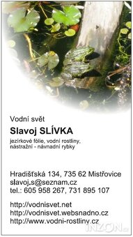 vodní rostliny bahenní rostliny - 11