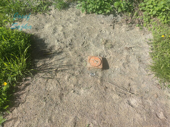 Prodej stavebního pozemku v obci Šebrov, 1956m2 - 11