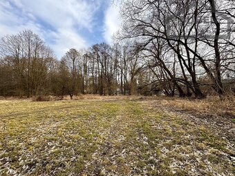 Prodej zemědělská půda, 30 073 m2 - Tachov, ev.č. 00025 - 11