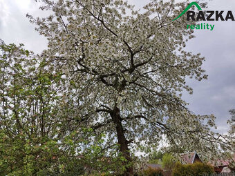 Zahrada (435m2) s chatou Tachov, Pod Plynárnou - 11