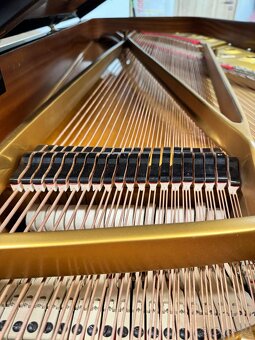 Steinway & Sons Modell D- 274 cm Only now super price - 11