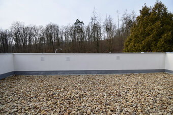 Pronájem bytu 1+kk, Libušino údolí, Pisárky, 20 m2 - 11