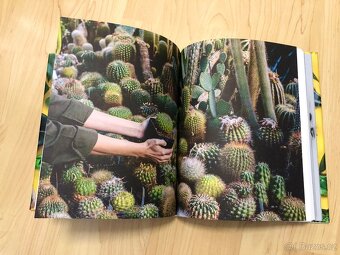 Kniha: Pokojovky a jak se o ně starat - podepsána od autorek - 11