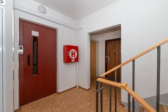 Pronájem bytu 1 + kk - 11