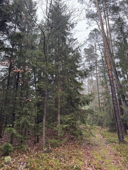 Prodám pozemky v k.ú. Veliny - 11