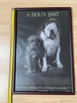 Foto Obrazy Antonín Malý s motivy psů 3 ks - 11