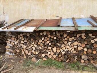 Palivové dřevo - 11
