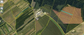 Nabídka pozemku KÚ Dolní Bojanovice - 9,5 ha - 11