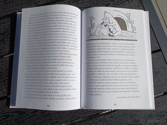 Dětská knížka, kniha - 11