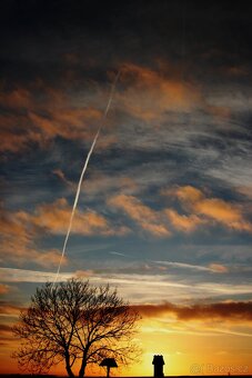 Canon 2000d 2023 v zánovním stavu (jen 10.tis fotek) - 11