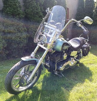 Harley - Davidson, Dyna 96´ inch. - 11