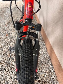 2x Kolo SCOTT Scale JR 24 - 11