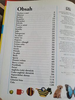 Pěkné naučné knížky,anglicko český slovník a obrázkový - 11