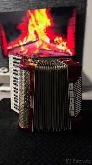 Weltmeister Gigantilli IV - 11