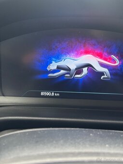 Ford Puma ST DPH - 11