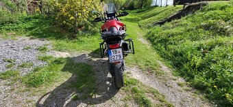 Triumph Tiger 900 Gt - 11