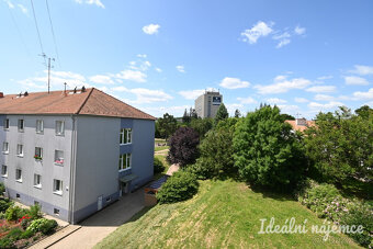 Pronájem bytu 1+1, Sibiřská, Řečkovice, 15 000 Kč/měs, 29 m2 - 11