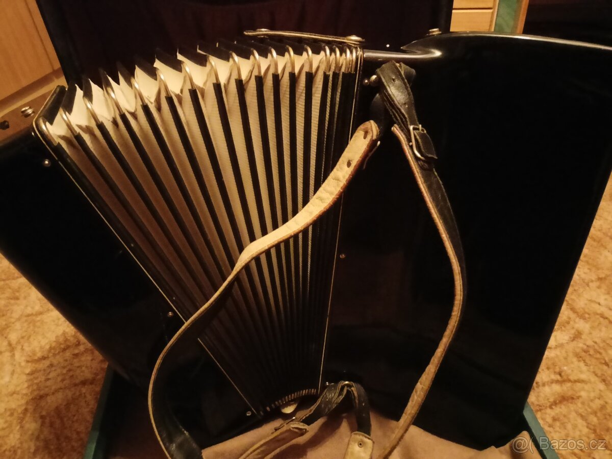 Akordeon LIGNATONE a Delicia - 12