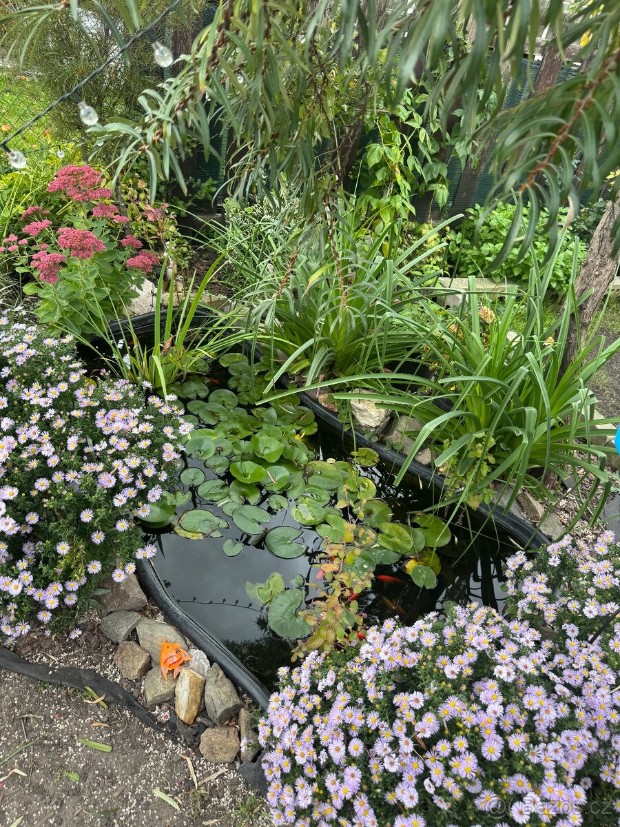 Prodam dům v Přelouči - 12