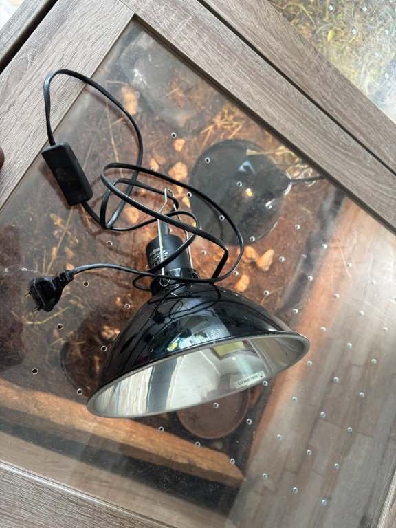 Terarium 80x190x80 cm - 12