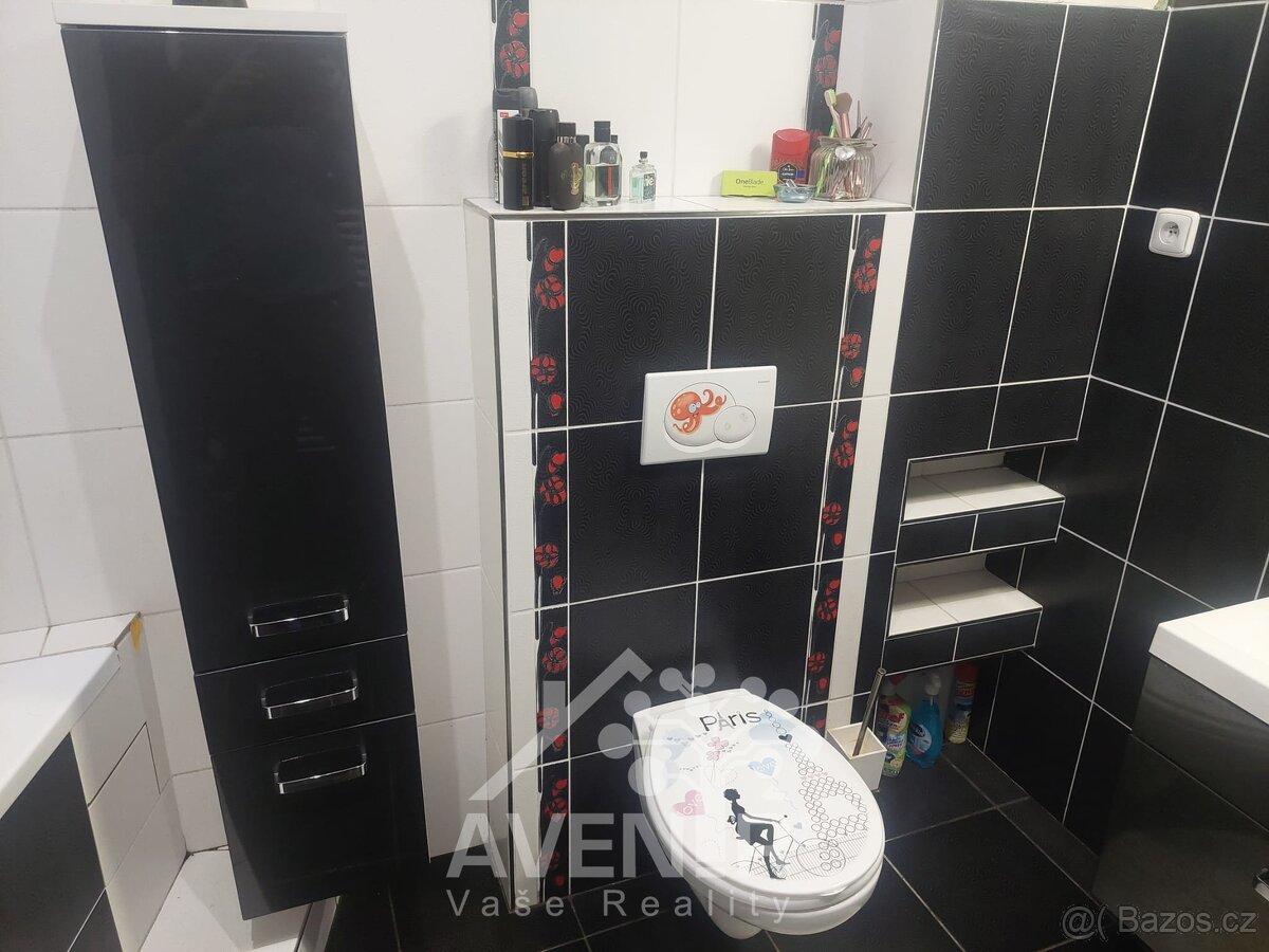 Prodej - pronájem, Atypické byty, 380 m² - Broumov - Olivětí - 12