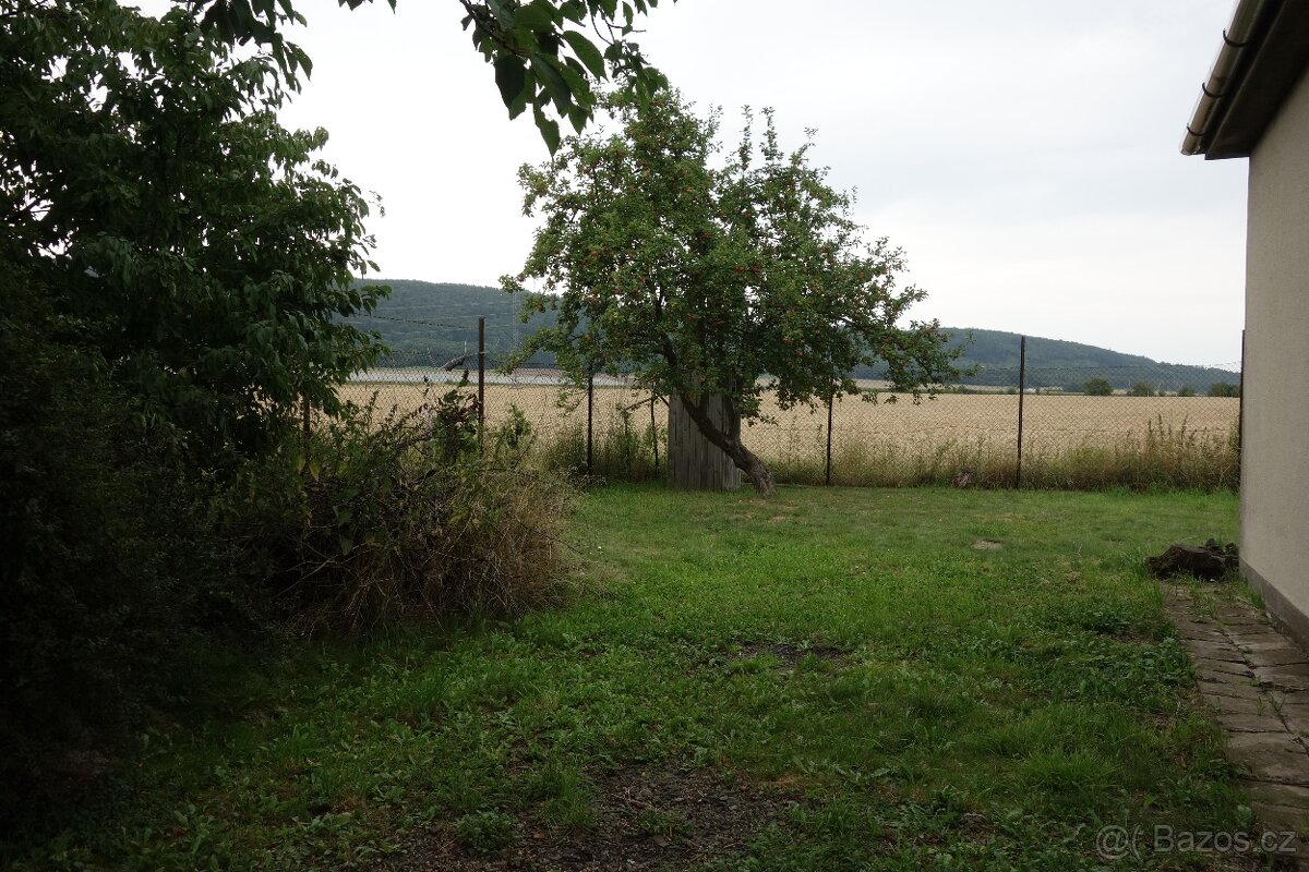 Zahrada - polosamota - 12