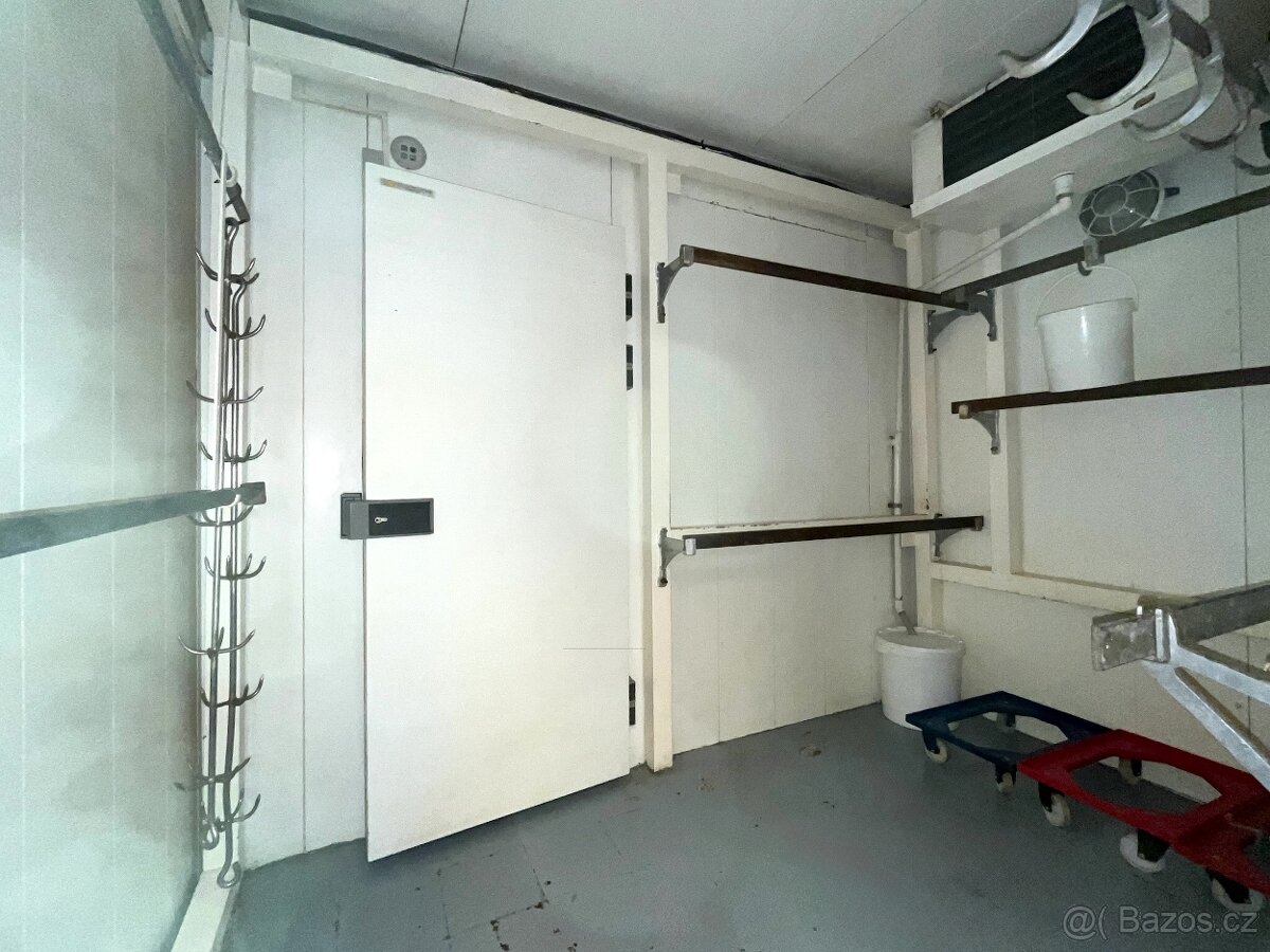 Obchodní prostor Gorkého - 12