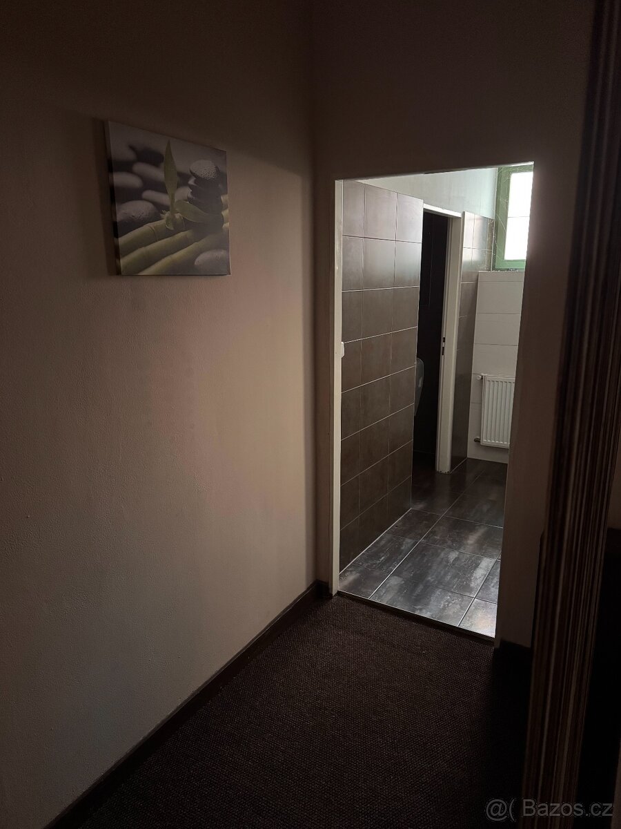 Pronájem restaurace Cheb - 12