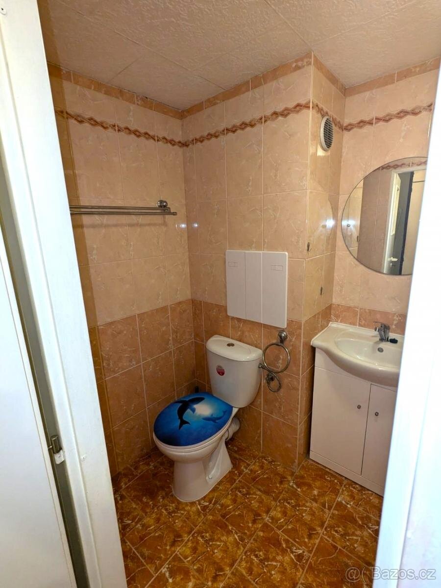 Pronájem bytu 2+kk, Fügnerova 254, Bílina, 11.patro - 12