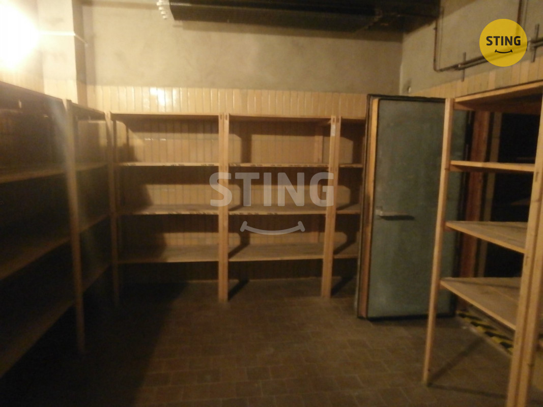 Pronájem obchodu 240m2., 135504 - 12