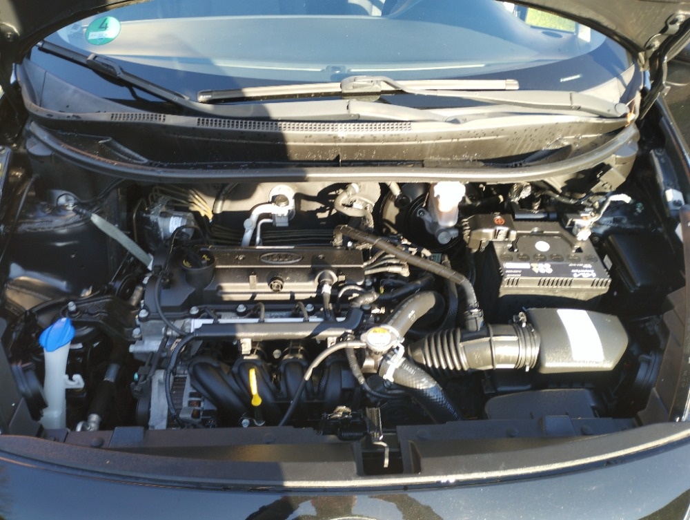 KIA RIO 1,25 NOVÁ STK ,2017 - 12