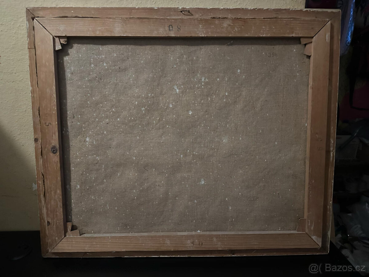 Starožitný obraz D. Čížkové - 12