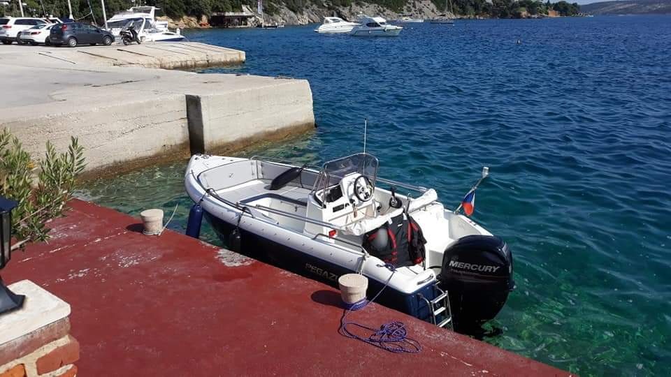 Motorový člun PEGAZUS 460 - 12