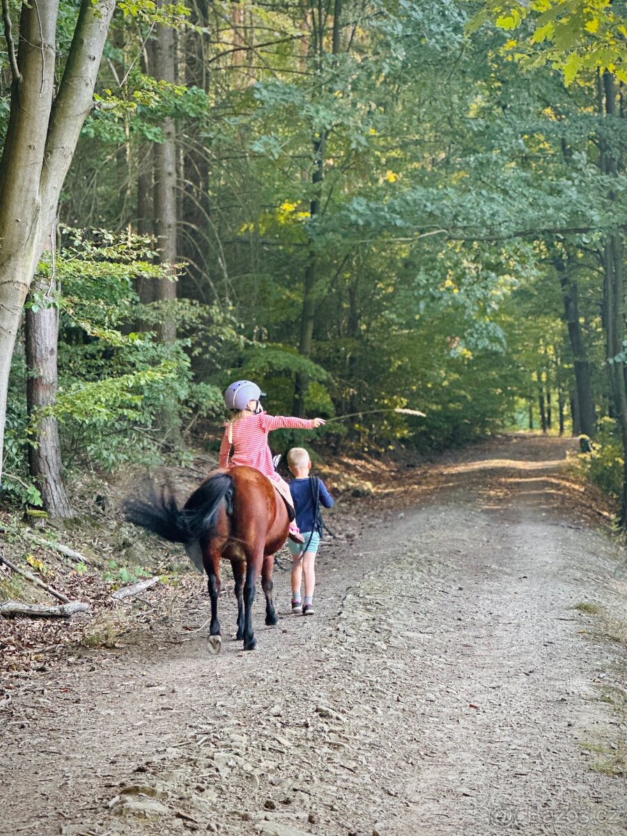 Hodná osmiletá ponička - 12