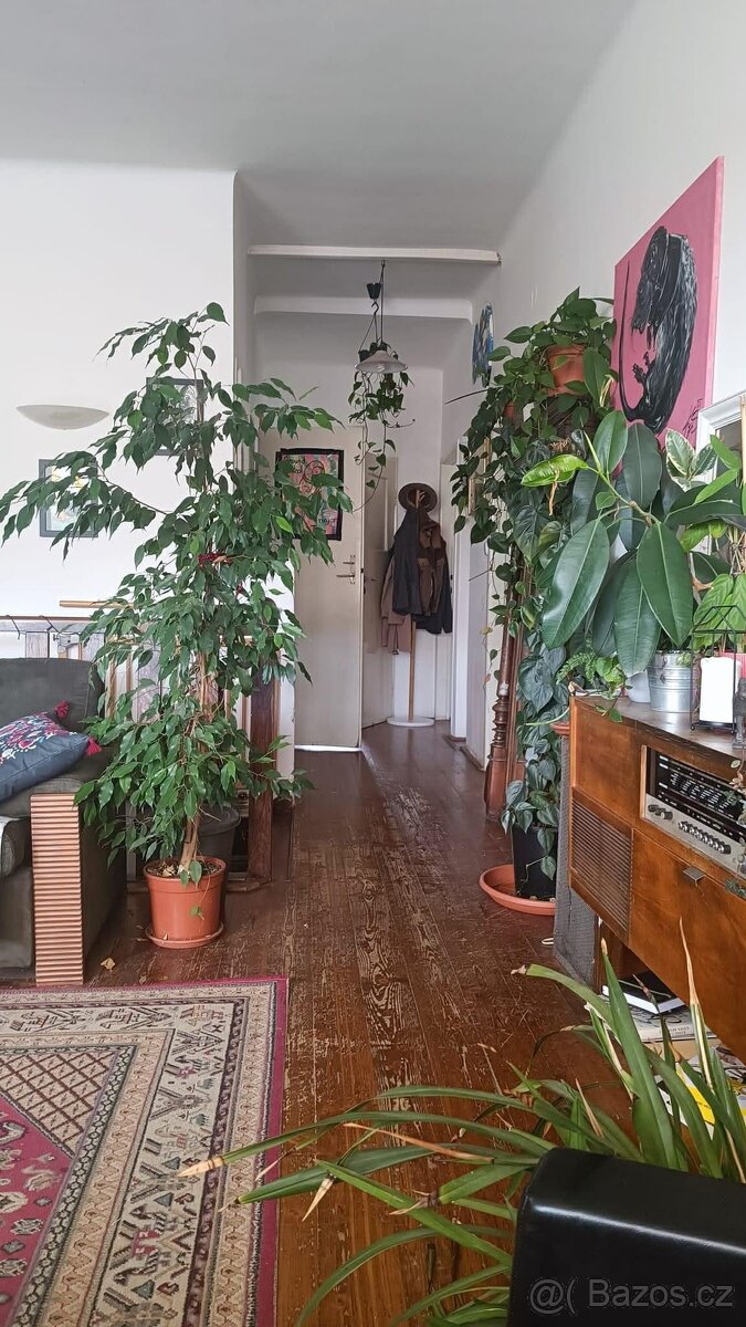 Hledáme spolubydlící, Praha 5 - 12