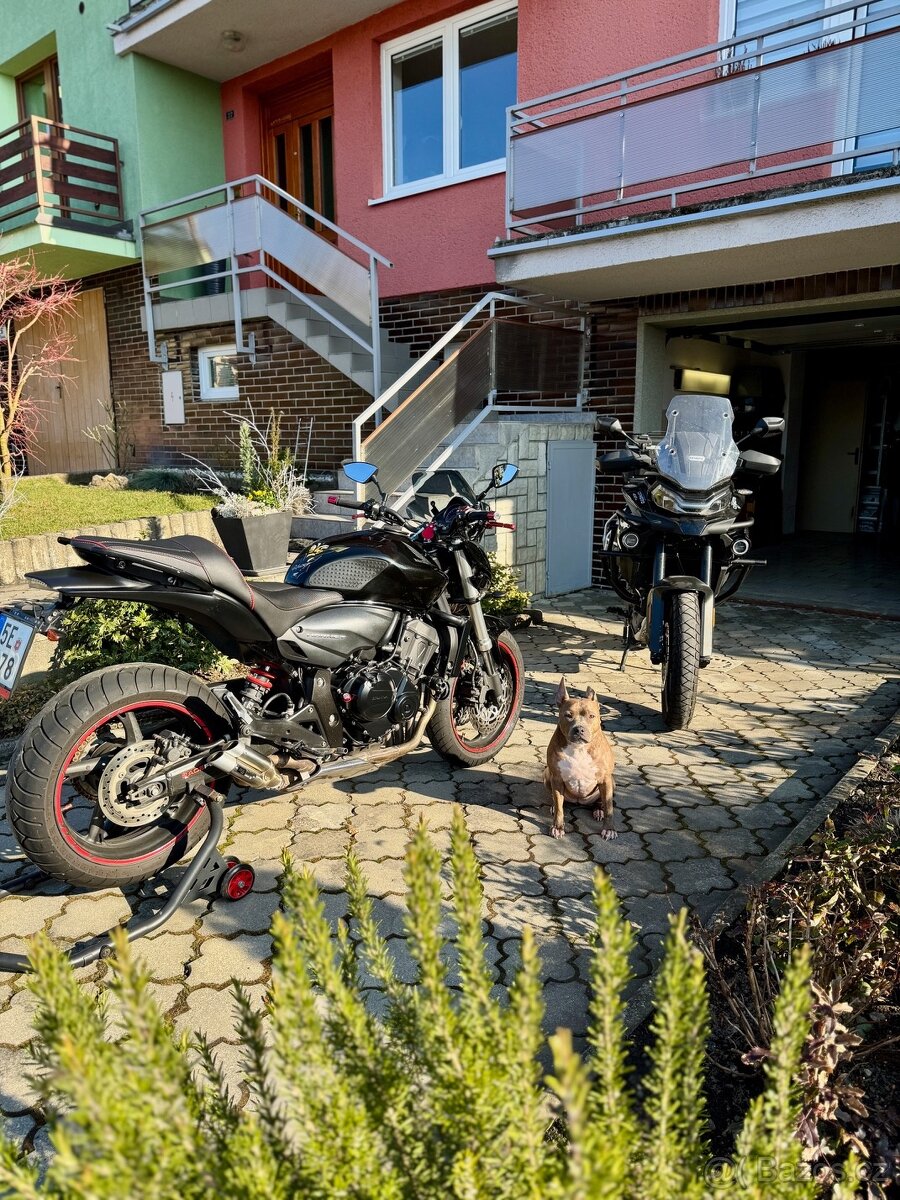 Honda CB600F Hornet - 12