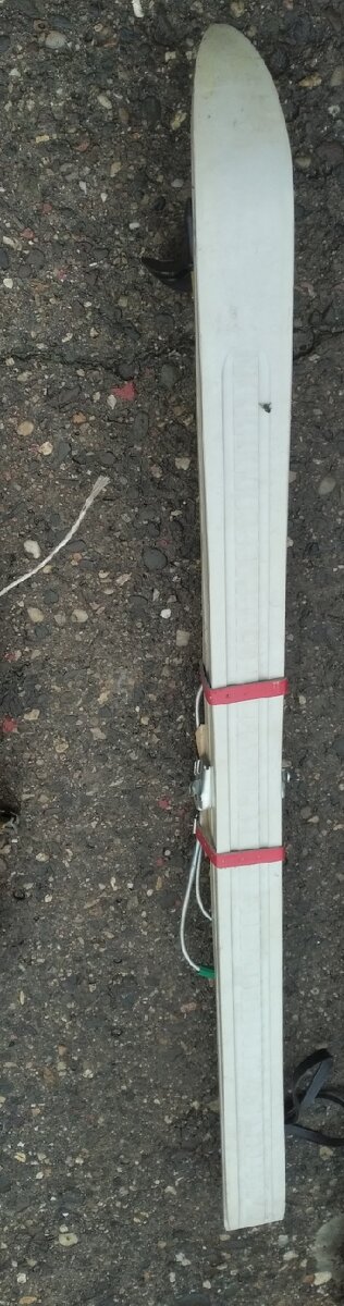 Prodám staré lyže/lyže - 12